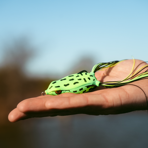 Mojo Fishing HypnoToad – Save More Outdoors